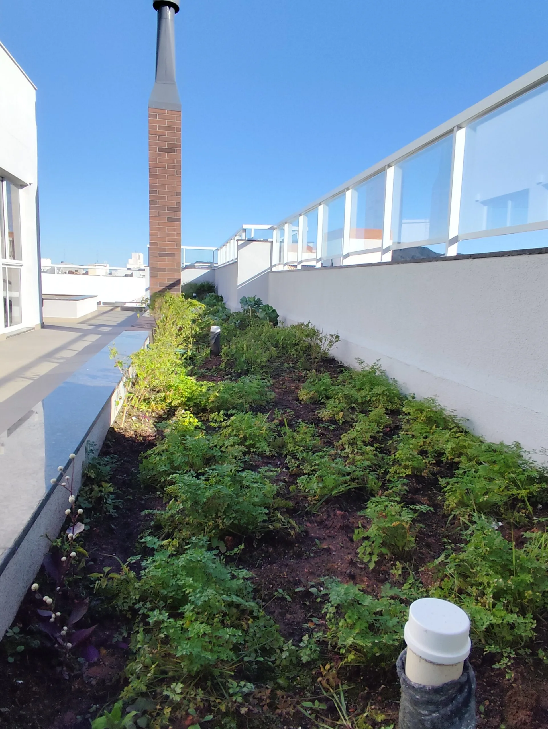 Contemporary Residence in Ingleses, Florianópolis