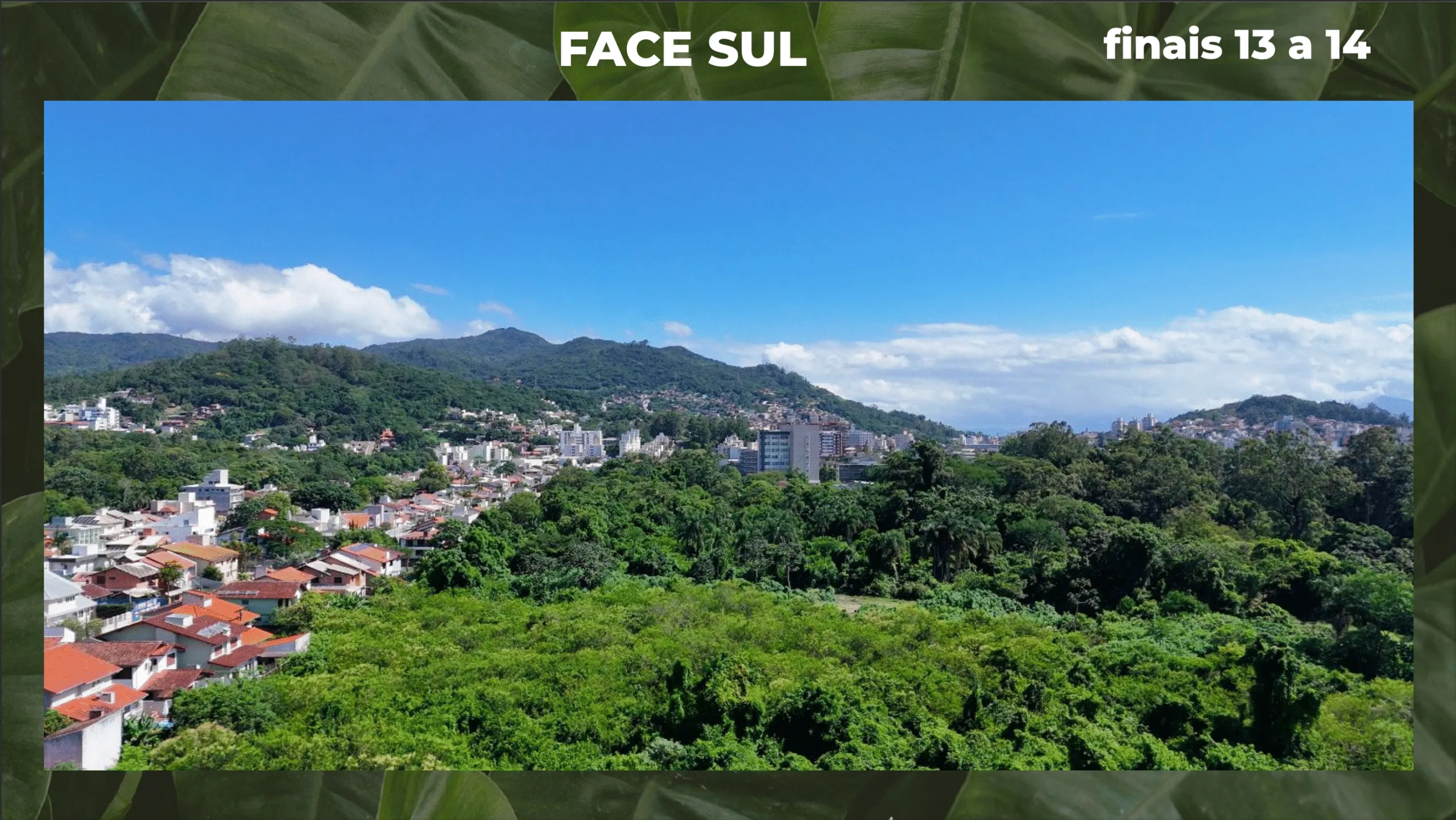 Santa 4: Contemporary Penthouse in Santa Monica