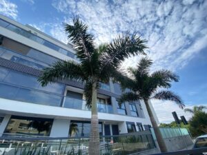 Apartment for sale Novo Campeche Florianópolis