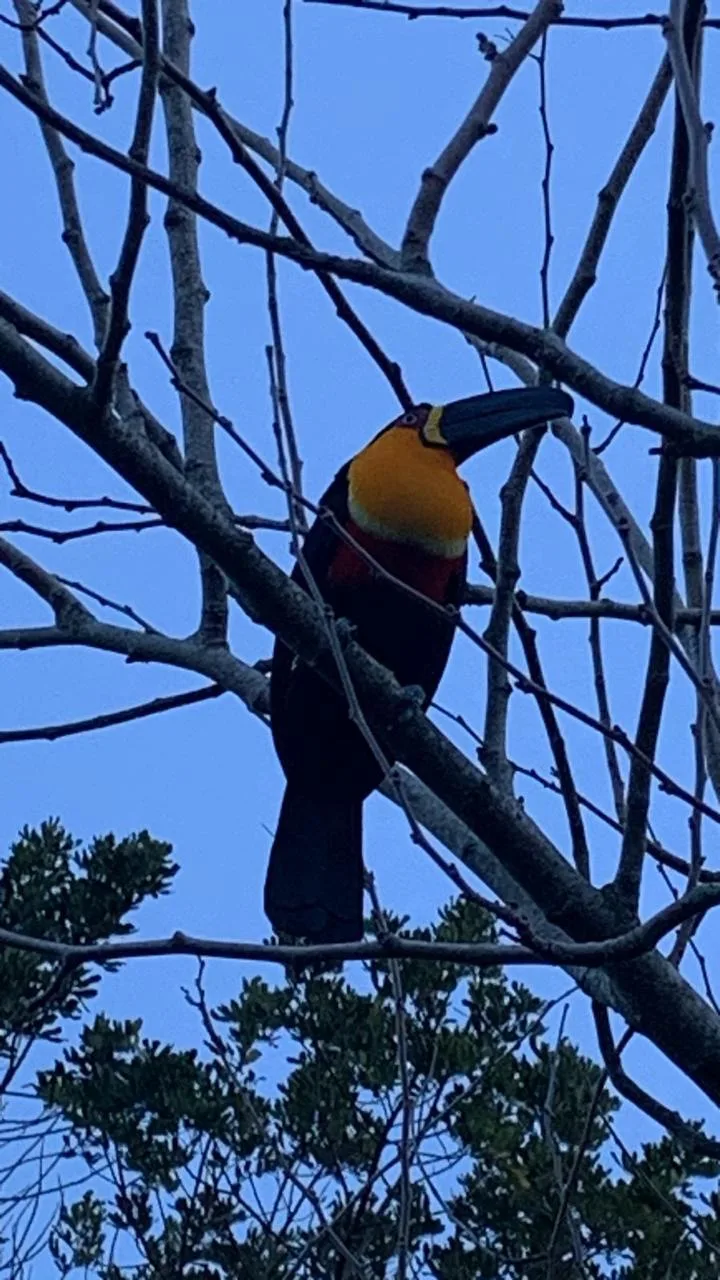 Canto da Lagoa: Ultra-Luxury Waterfront Estate with Private Pier in Florianópolis