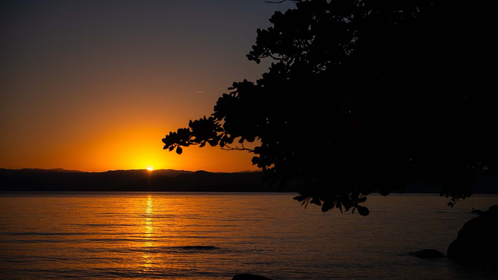 Terraço Cacupé: Exquisite Suspended Mansion with Private Pier in Cacupé