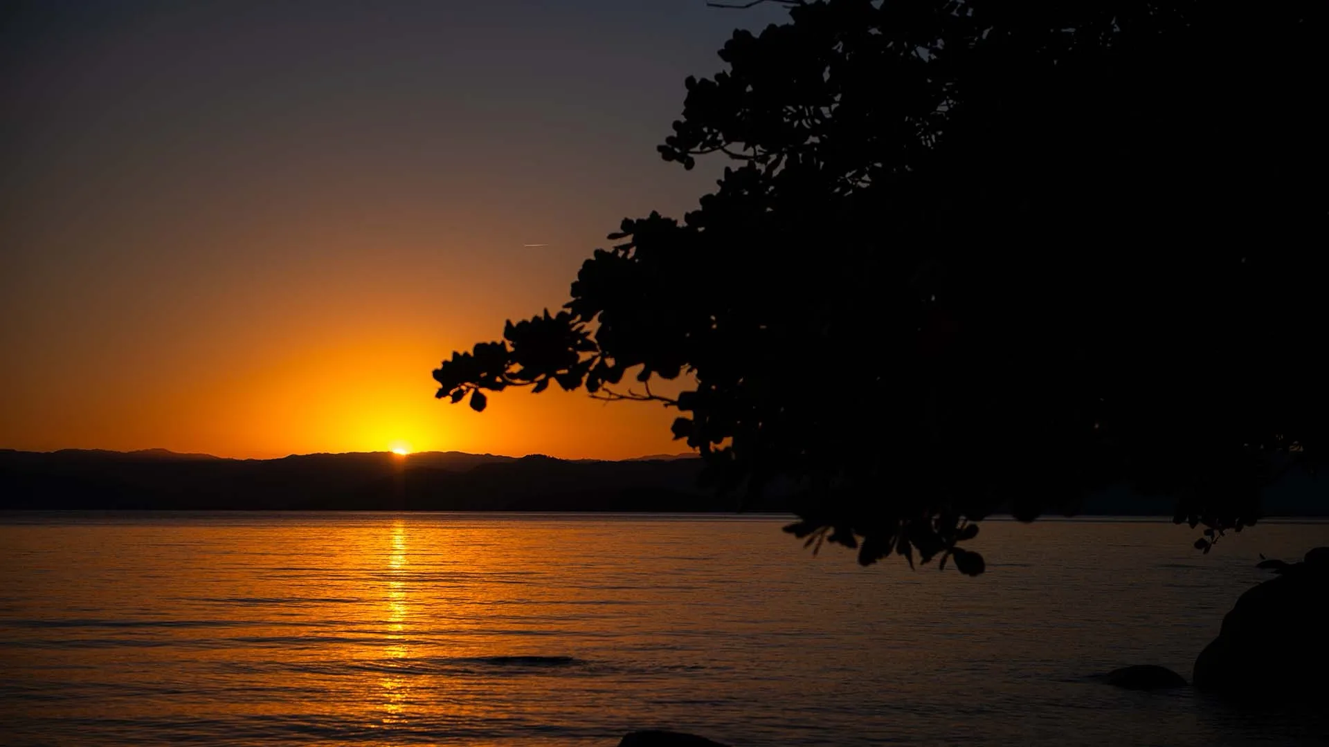 Terraço Cacupé: Exquisite Suspended Mansion with Private Pier in Cacupé