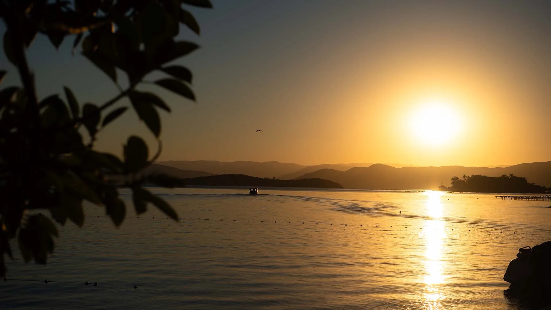 Terraço Cacupé: Exquisite Suspended Mansion with Private Pier in Cacupé