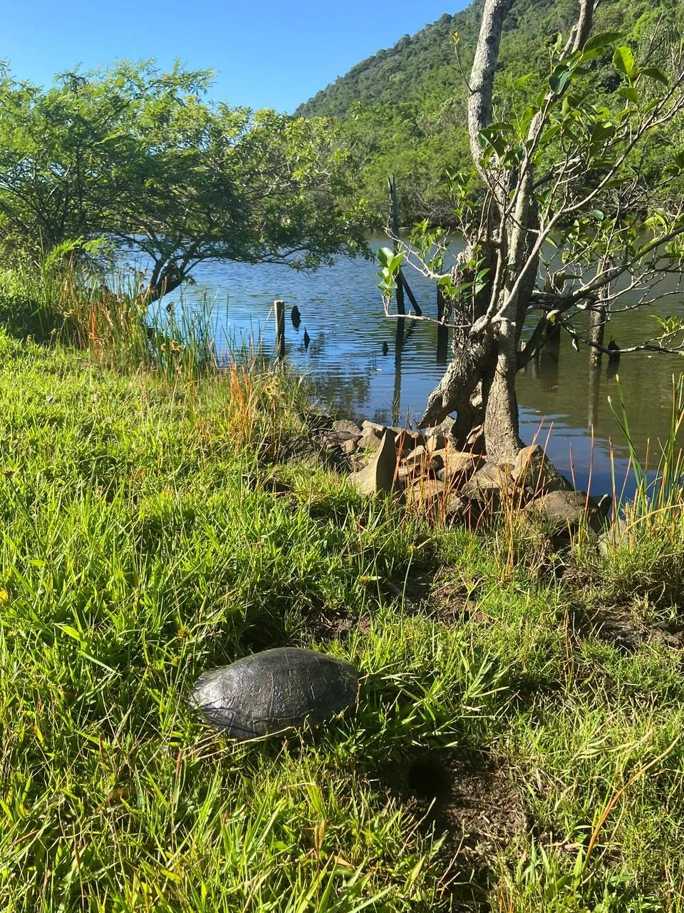 Exquisite Estate with Private Lagoon Access in Rio Vermelho