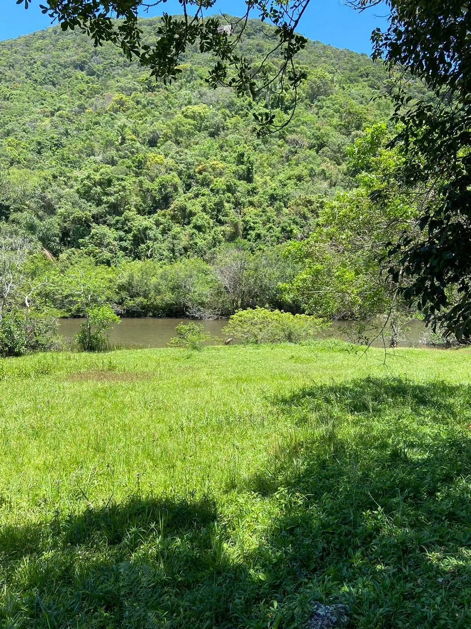 Exquisite Estate with Private Lagoon Access in Rio Vermelho