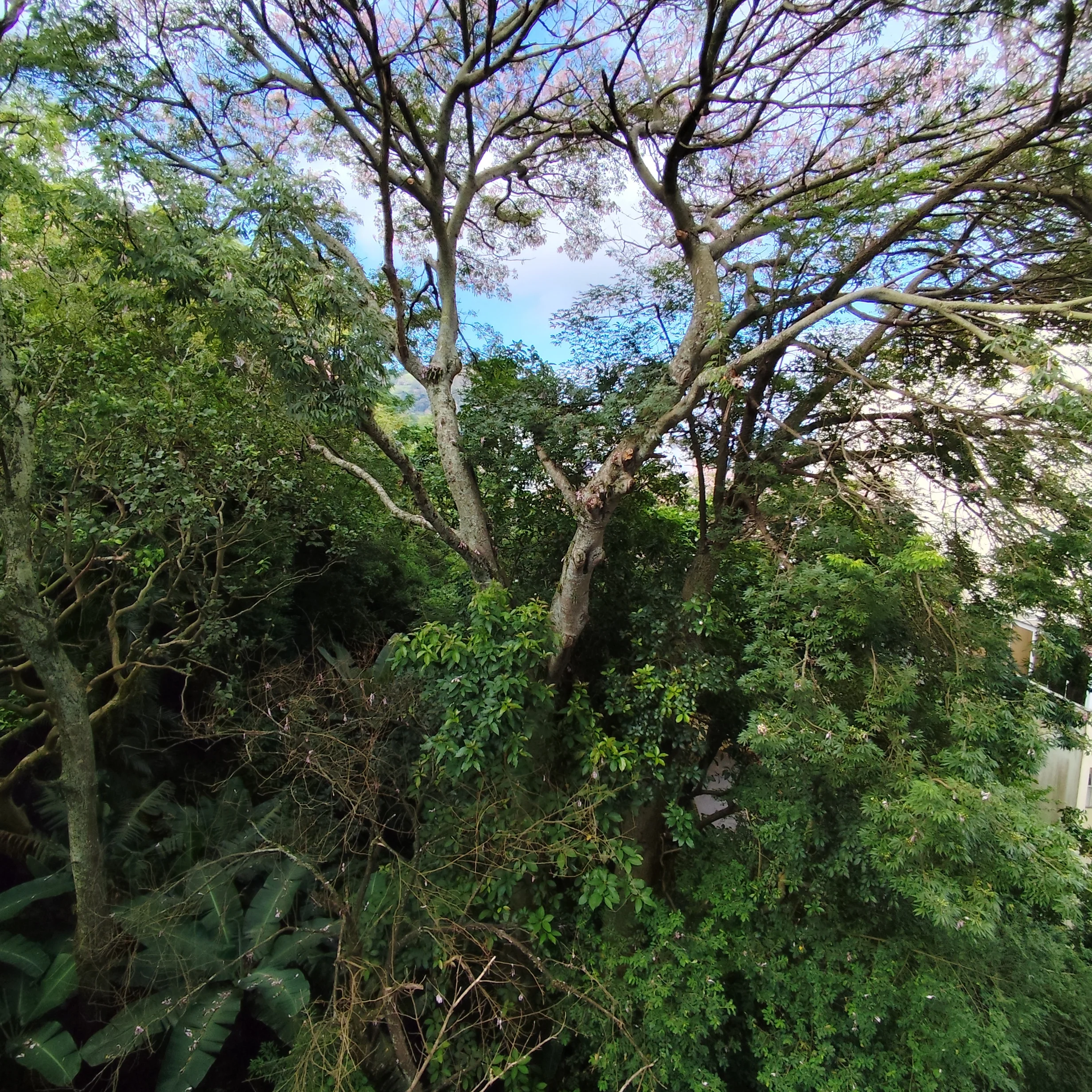 Rua Irmão Joaquim: Contemporary 1-Bedroom in Centro Florianópolis